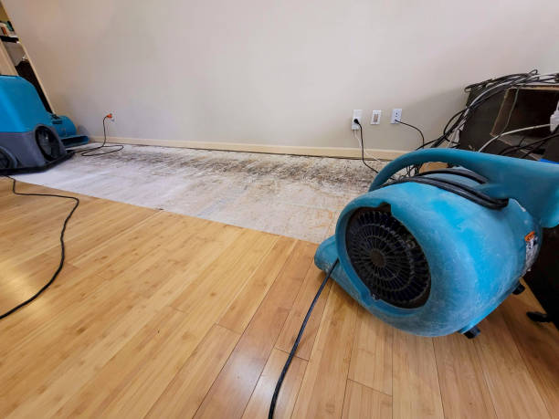 Professional Flood Damage Cleanup technician working in Richland, MI